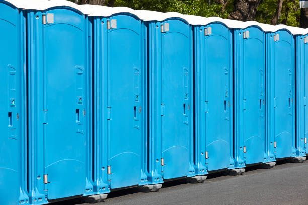 Best Deluxe Portable Toilet Rental in Anna, IL